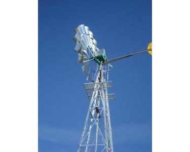 Windmill Yellowtail