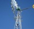 Windmill Yellowtail