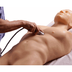 FAST Trauma Real-Time Ultrasound Training Model