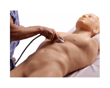 FAST Trauma Real-Time Ultrasound Training Model