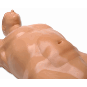 Abdominal Aortic Aneurysm Ultrasound Training Model