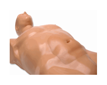 Abdominal Aortic Aneurysm Ultrasound Training Model