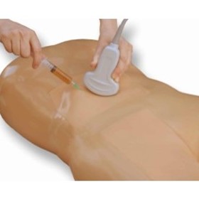 Paracentesis Ultrasound Training Model