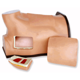 Thoracentesis Ultrasound Training Model