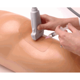 Sciatic Nerve Regional Anesthesia Ultrasound Training Model