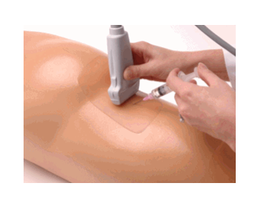 Sciatic Nerve Regional Anesthesia Ultrasound Training Model