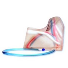 Central Venous Access Ultrasound Training Model Transparent Insert