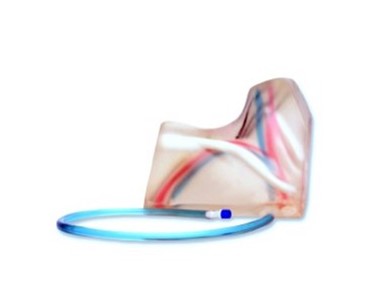 Central Venous Access Ultrasound Training Model Transparent Insert