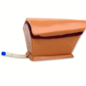 Thoracentesis Ultrasound Replacement Tissue