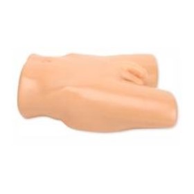 NEW: Scrotal Ultrasound Training Model