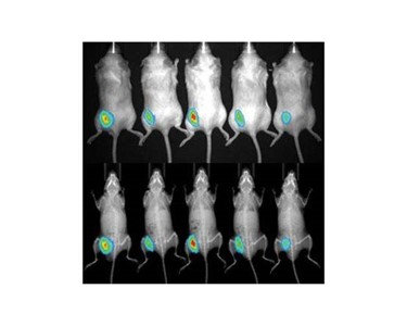 In-Vivo Cell Imaging System