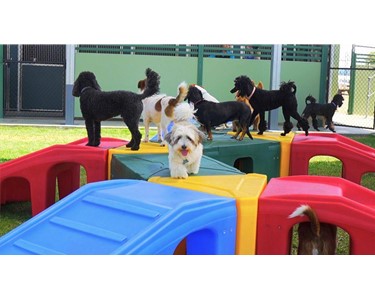 Puppy Playground - Dog Agility Equipment | Pro Series Kits