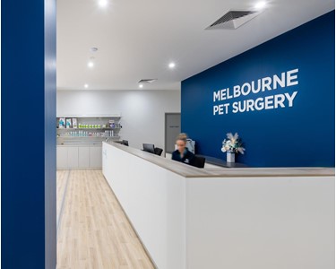 Veterinary Surgery Facility | Melbourne Pet Surgery