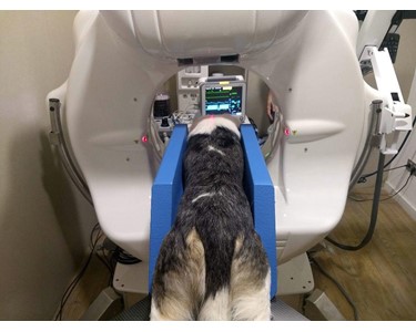 Imaginalis - Vet CT Scanner | Vimago GT30™ Pico System