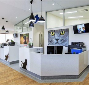 Designing for a Veterinary Start-up