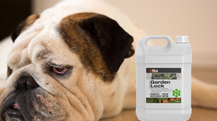 Garden Lock garden glue safe for pets - non toxic