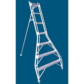 Aluminium Orchard Access Ladder | Allweld