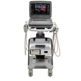 Veterinary Ultrasound Machine | ACUSON Maple | P500