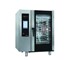 10 Trays Combi Steam Oven | APE-101