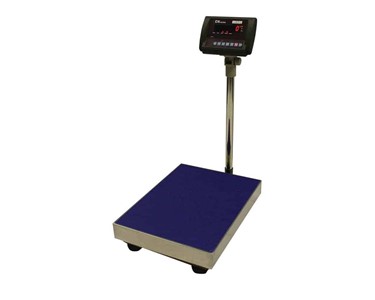 CNP Floor Checkweigher Scales