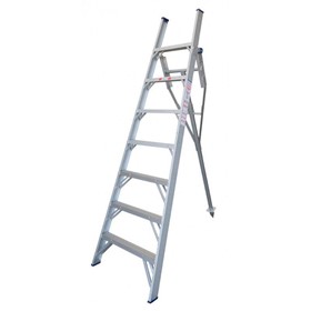 Aluminium PROT Orchard Access Ladder | Pro Series