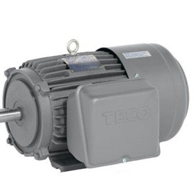 TECO Single Phase Cast Iron Electric Motor