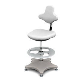 Labster Clean Room Chair