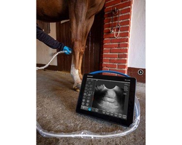 Draminski - Veterinary Ultrasound | Draminski Blue 