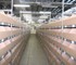 Industrial Shelves | Boltless Shelving | Modular Design | Metalsistems - Super 123