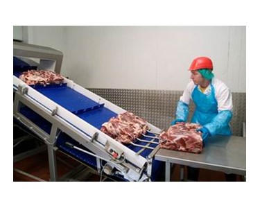 Modular Conveyor Belting for Abattoirs