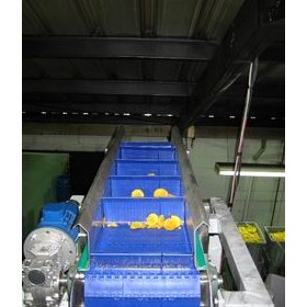 Scanbelt Modular Conveyor Belt for Banana Clips