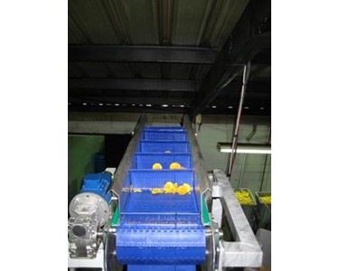 Scanbelt Modular Conveyor Belt for Banana Clips