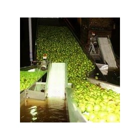 Scanbelt Modular Belting for Fruit Industry