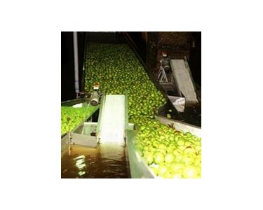 Scanbelt Modular Belting for Fruit Industry