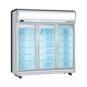 3-Door Display Freezer | 3D-DF