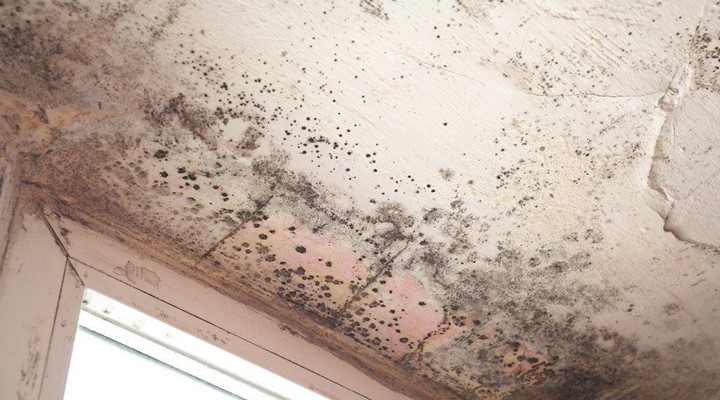 water Damage to walls and ceilings