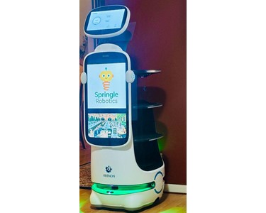 The Delivery and Promotional BOT ( Robot Waiter )