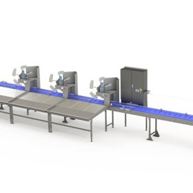 Vegetable Sorting System | Sorting Line (15,100×2,500×2,450 mm)