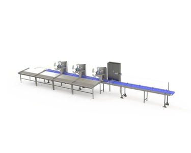 Vegetable Sorting System | Sorting Line (15,100×2,500×2,450 mm)