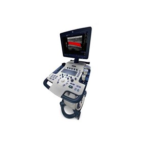 Veterinary Ultrasound Machine | GE LOGIQ V5