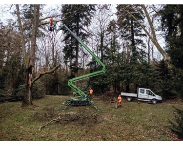 Spider Lifts 21 hp Diesel | Leguan 265