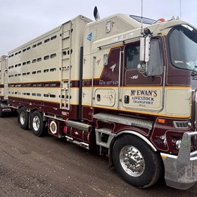 Used Livestock Truck | 2016 K200 