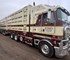 Kenworth - Used Livestock Truck | 2016 K200 