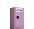 Corrosive Safety Storage Cabinets - 5517ASPH - 60L - Metal