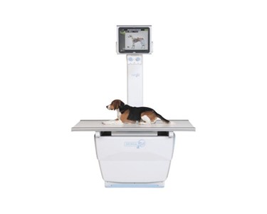 Sedecal - Veterinary X-Ray Machine | Neovet