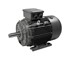 Techtop - Three Phase Electric Motor | TCP Series