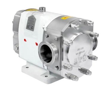 Sepak Lobe Pumps 