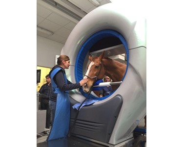 Imaginalis - Vet CT Scanner | PEGASO™ Evolution Equine & Large Animal System