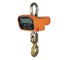 Kelba - Crane Scales Heavy Duty COMPLETE with Hand held Battery | KOCS-XZ-A