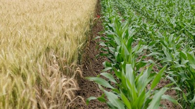 Nutritious sustainable food vital to health of Australians